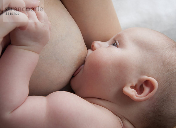Säugling (2-5 Monate) Stillen  Nahaufnahme