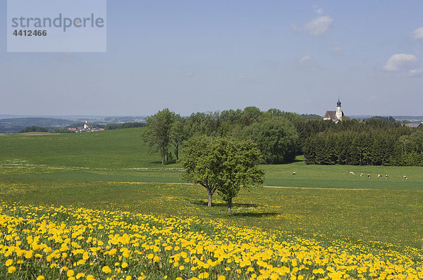 Österreich  Moosdorf (links)  Vormoos (rechts)