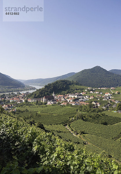 Österreich  Wachau  Spitz  Donau  Weinberge