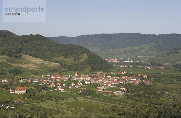 Österreich  Wachau  Rossatz  Arnsdorf  Weinberge