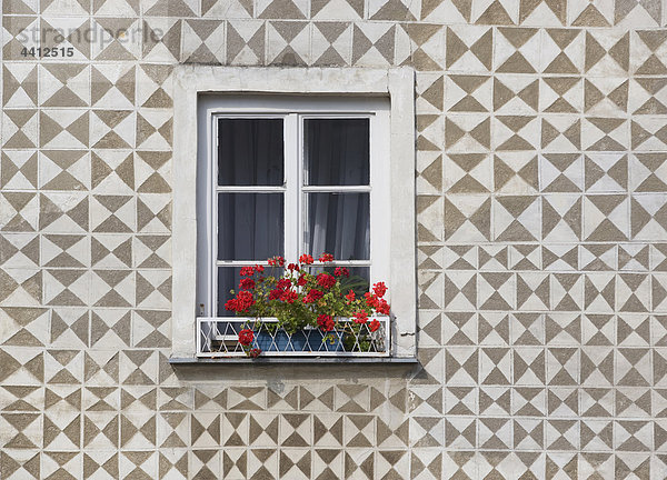 Österreich  Gmünd  Fenster  Blumenkasten