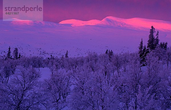 Sonnenuntergang im winter