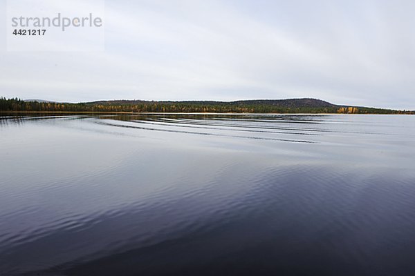 Ruhigem Wasser  Ufer mit Forest im Hintergrund