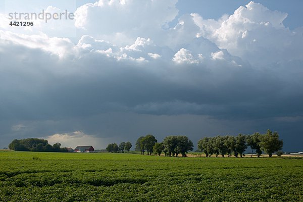 Ländliche Landschaft