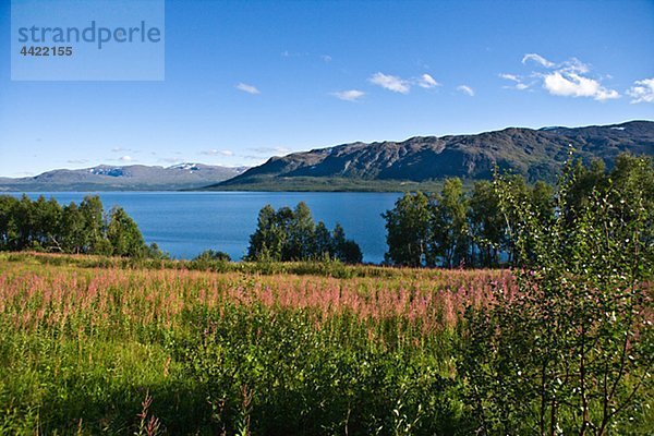 Berglandschaft mit See