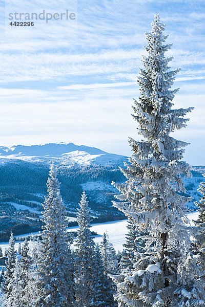 Winterlandschaft