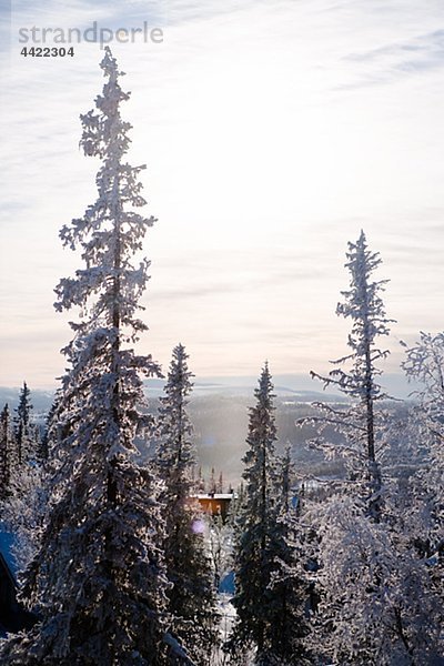 Winterlandschaft