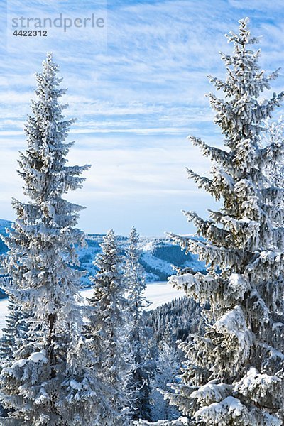 Winterlandschaft