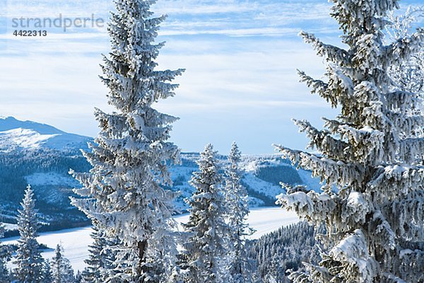 Winterlandschaft