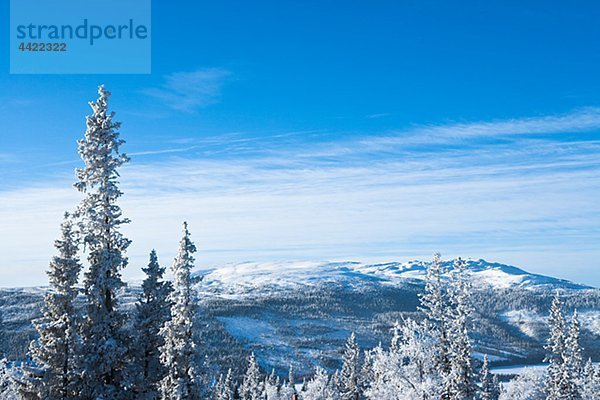 Winterlandschaft mit Wald