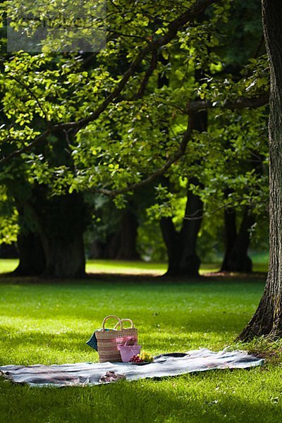 Decke mit Picknick-Korb im park