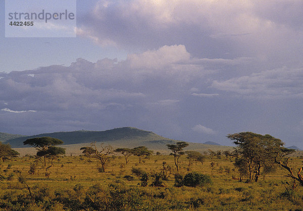 Land Landschaft in Kenia