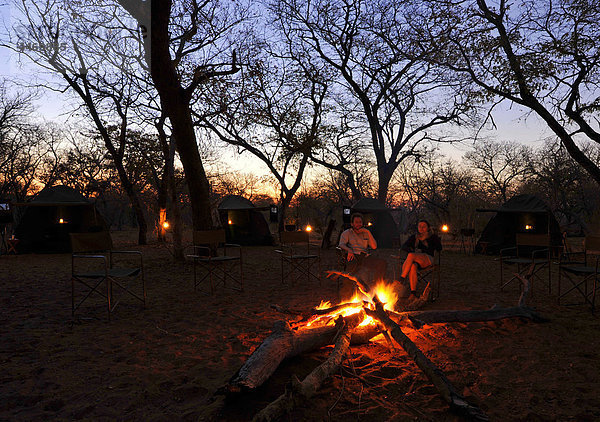 Afrika  Botswana und Savuti Nationalpark  Zelten und neigt