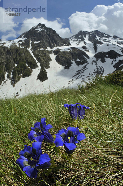 Italien Piemont