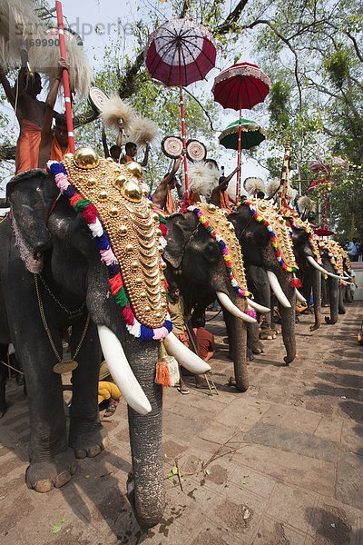 Indien  Kerala  Thrissur Puram Festival  es ist eines der größten Feste in Indien  wo Elefanten dekoriert ausgezeichnet sind