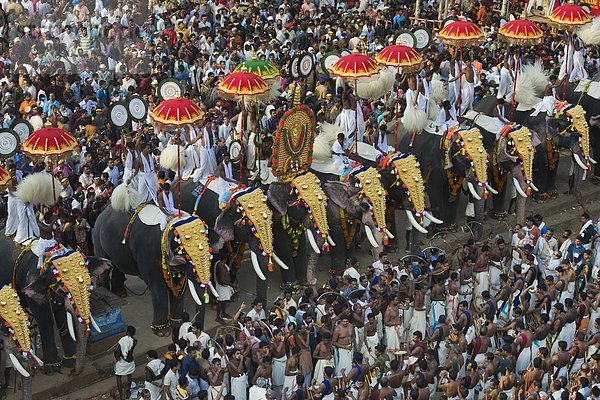Indien  Kerala  Thrissur Puram Festival  es ist eines der größten Feste in Indien  wo Elefanten dekoriert ausgezeichnet sind