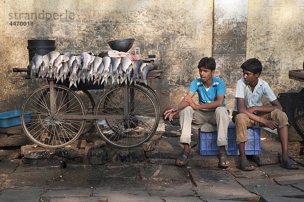 Indien  Karnataka  Mysore  jung Leute verkaufen Fisch in einer Straße der Stadt