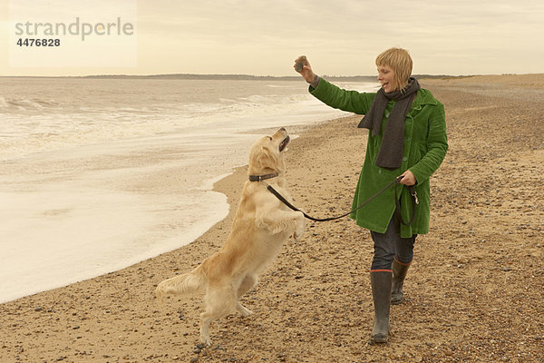 Frauentraining  Spielen mit Hund  Strand