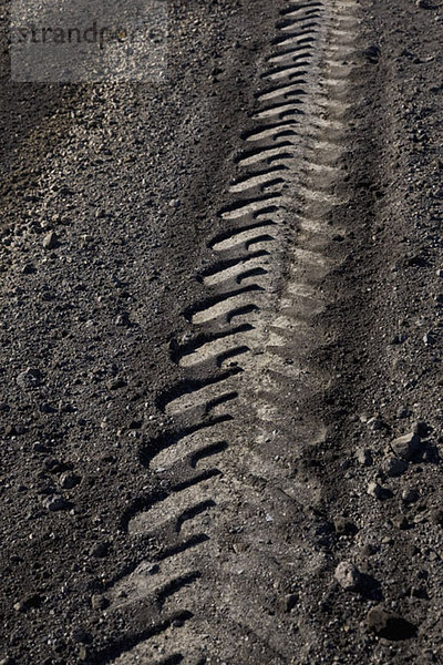 Detail einer Reifenspur auf einem Feldweg