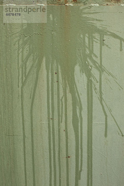 Ein flüssiger Fleck auf einer grünen Wand