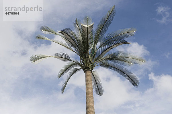 Als Palme verkleideter zellularer Repetierturm