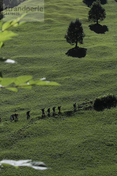 Wanderer  die an einem grünen Berghang entlang wandern