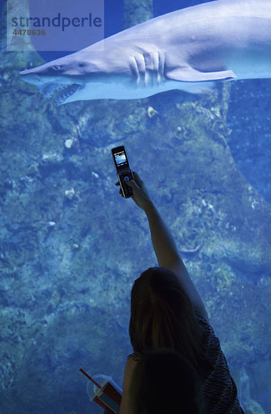 Eine Frau  die einen Hai in einem Aquarium fotografiert.