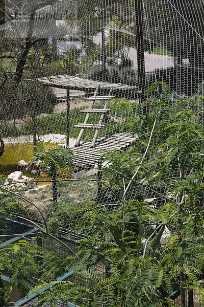 Blick durch einen Zaun eines Tiergeheges in einem Zoo