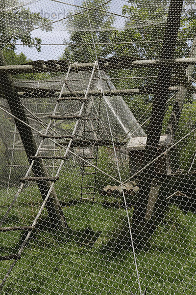 Blick durch einen Zaun eines Tiergeheges in einem Zoo