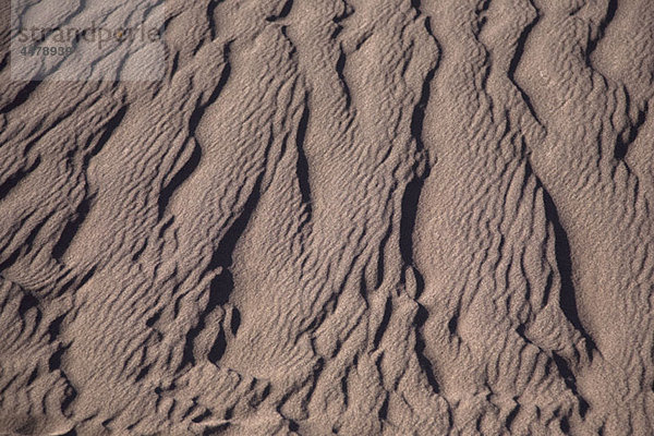 Detail einer Steinformation  Atacama-Wüste  Chile