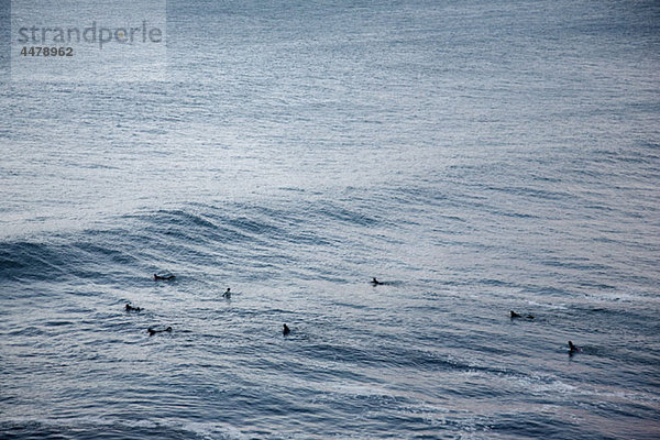 Surfer im Meer