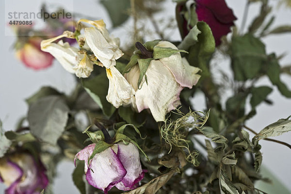 Ein Strauß sterbender Rosen