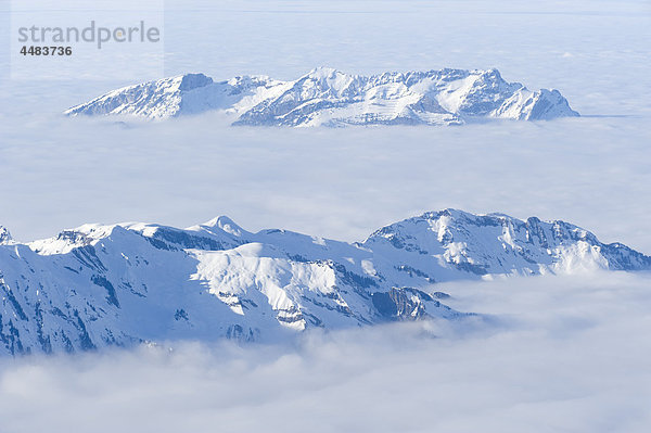 Pilatus  Berner Alpen  Westalpen  Schweiz  Europa