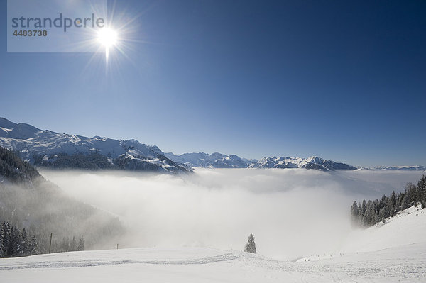 Zentralschweizer Voralpen  Switzerland  Europe