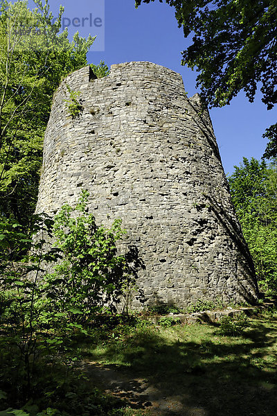 Deutschland  Niedersachsen  Bad Driburg  Turm  Turm  Ruinen Iburg  Ruinen  Burg  Bäume  Pflanzen  Wand  Ort von Interesse  Türme  Türme