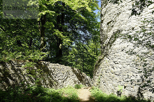Deutschland  Niedersachsen  Bad Driburg  Turm  Turm  Ruinen Iburg  Ruinen  Burg  Bäume  Pflanzen  Wand  platzieren von Interesse  Türme  Türme  detail