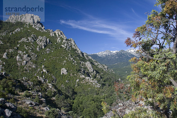 Korsika  Frankreich  Landschaft  Berg  Berg  Landschaft