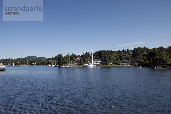 Europa  Landschaft  Norwegen  Skandinavien  Boot  Fjord  Hafen  Nordic  Landschaft  Wald