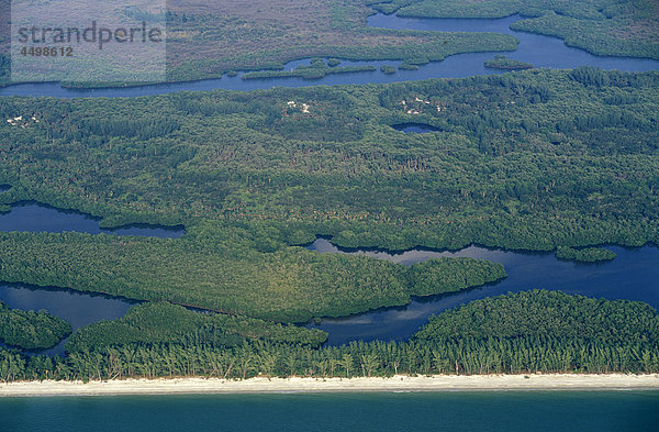 Luftaufnahme  Strand  in der Nähe von Neapel  Golfküste  Florida  USA  USA  Amerika  Marschland  Natur