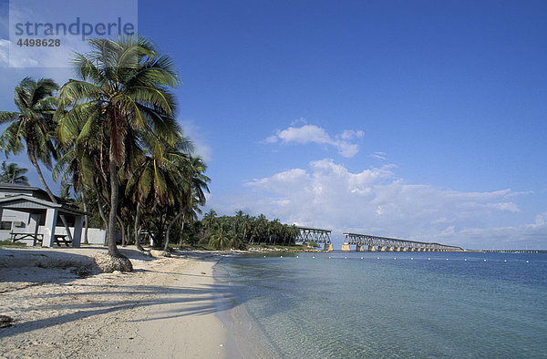 Beach  Bahia Honda  State Park  Florida Keys  Florida  USA  USA  Amerika  Palmen  Meer