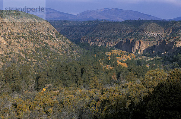 Tal der Bandelier National Monument  New Mexico  USA  USA  Amerika  Landschaft  Bäume  Bergen