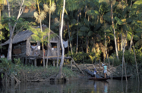 Amazonas  do Ilha Marajo  Amazonas-Delta  Amazonia  Brasilien  Südamerika  Hütte  river