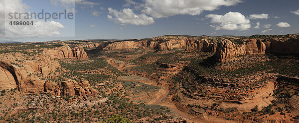 Long Canyon  Navajo  Nationaldenkmal  Arizona  USA  USA  Amerika  Felsen  Landschaft