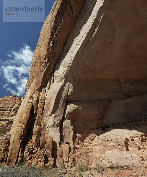 Betatakin  Anasazi  Ruinen  Navajo  Nationaldenkmal  Arizona  USA  USA  Amerika  Wohnungen
