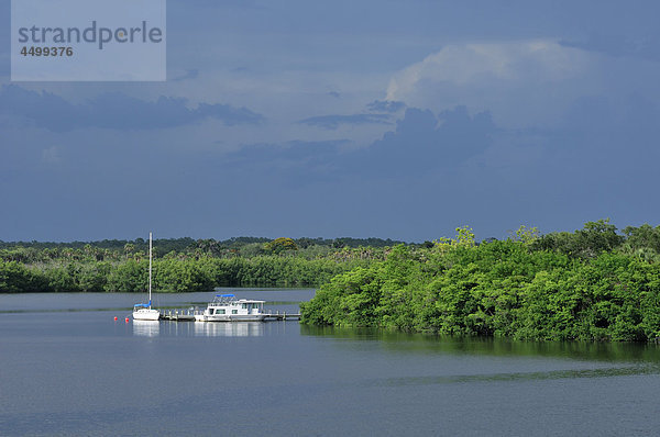Caloosahatchee River  Fort Myers  Florida  USA  USA  Amerika  Wasser  Baum  Natur