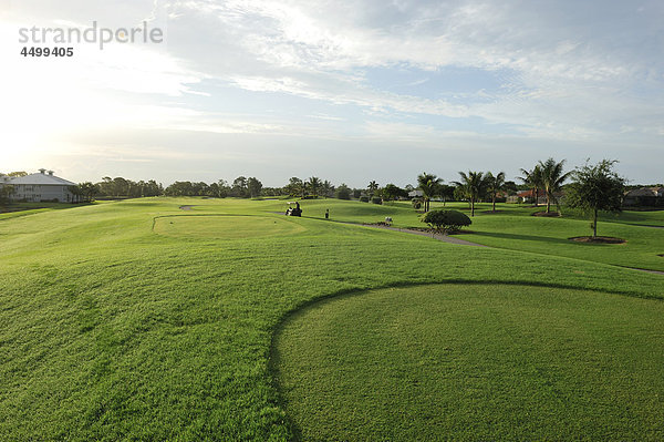 Flamingo Golf Course  Golf  Lely Resort  Naples  Florida  USA  USA  Amerika  grün  Gras