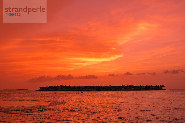 Sonnenuntergang  von Sonnenuntergang Pier  Key West  Florida  USA  USA  Amerika  Meer  Wasser  Insel
