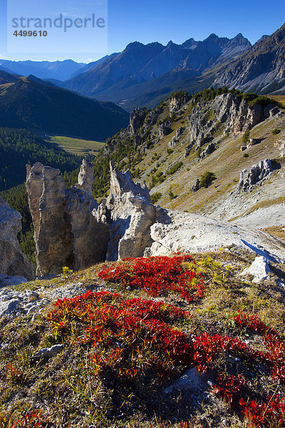 Felsbrocken Steilküste Herbst Aussichtspunkt sehen Kanton Graubünden Schweiz