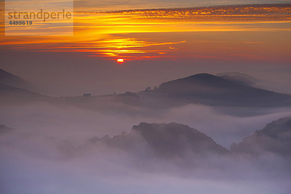 Hügel Sonnenaufgang Wald Nebel Holz Aussichtspunkt sehen Schweiz Morgenstimmung