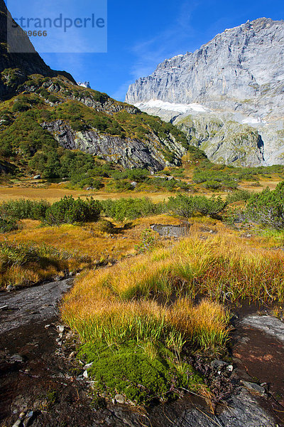 Naturschutzgebiet Berg Sumpf Kanton Uri Moor Schweiz